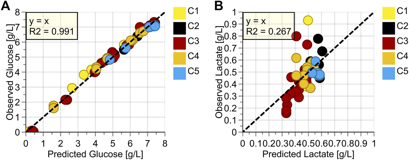 Deux nuages de points observé/prédit pour cinq cultures en perfusion (C1 à C5) : le glucose s’aligne sur la diagonale y=x avec R²=0,991 ; le lactate s’en écarte nettement avec R²=0,267.