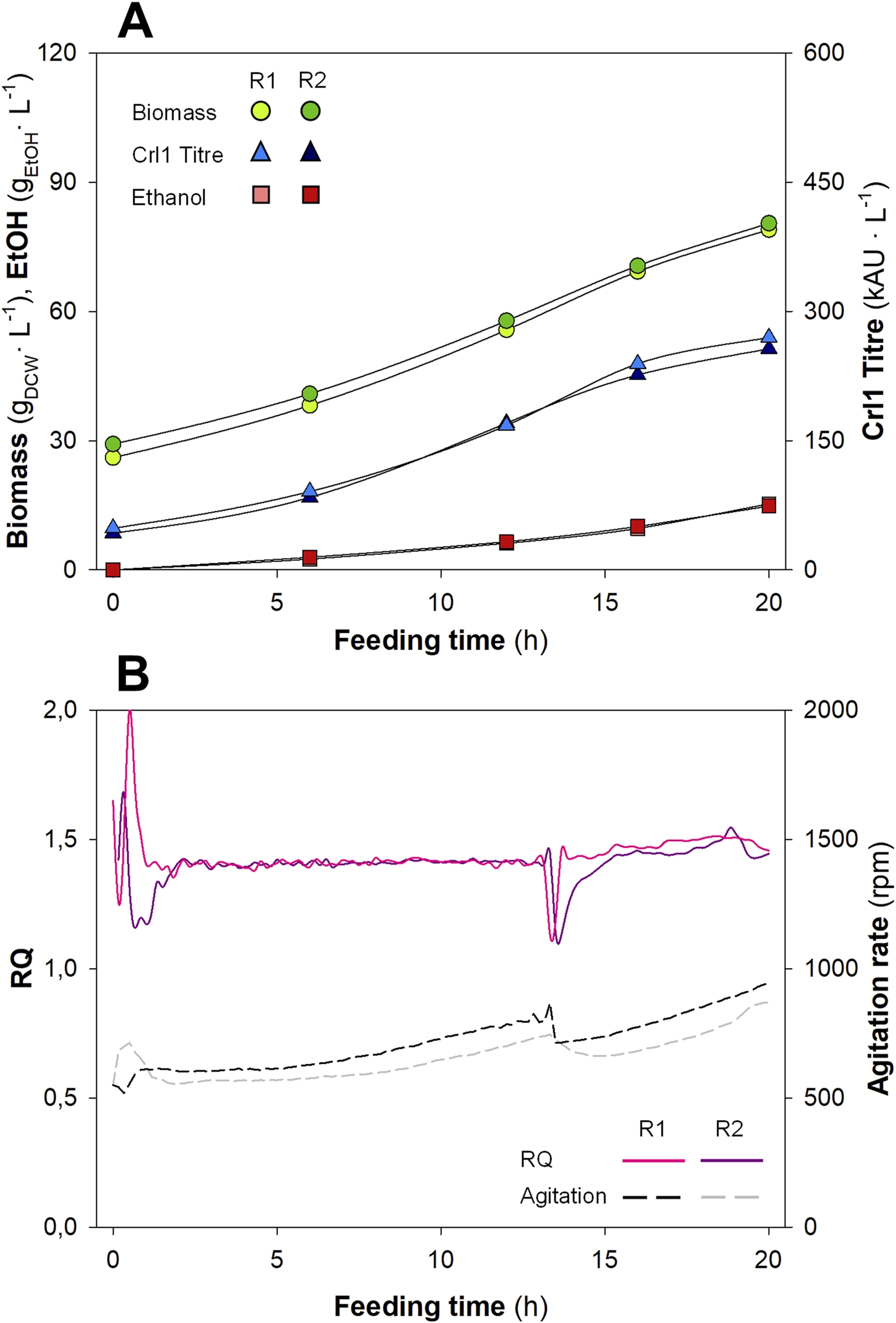 Profils temporels des paramètres clés (biomasse, éthanol, Crl1), vitesse d'agitation et RQ pour les réplicats biologiques R1 et R2 sous la stratégie AI-aided Adaptive Proportional Control.